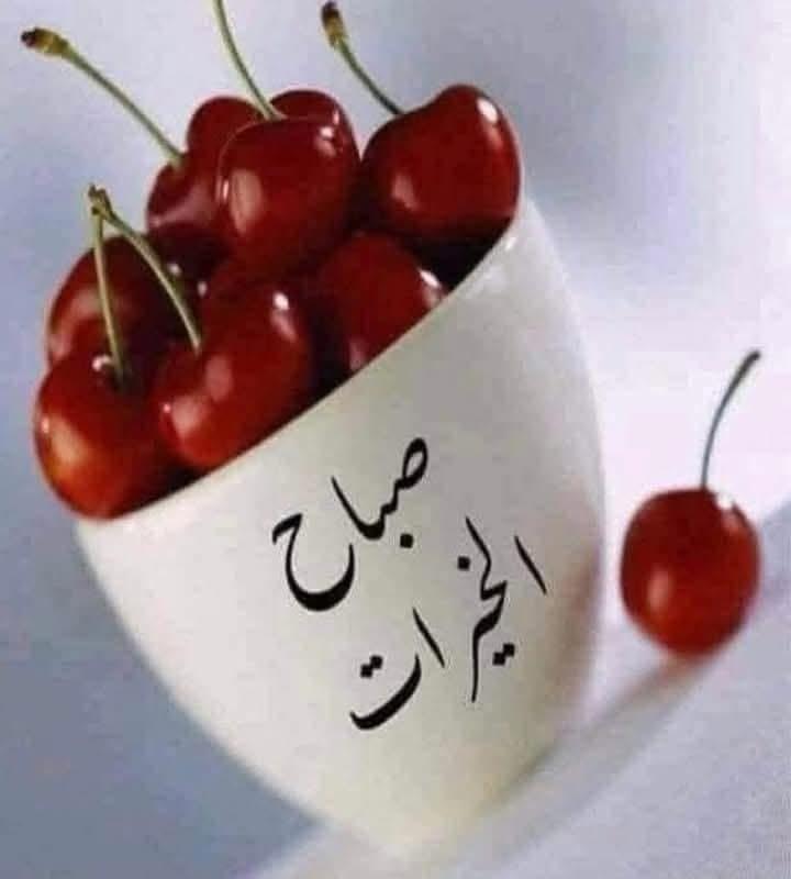 حقيبة ظهر